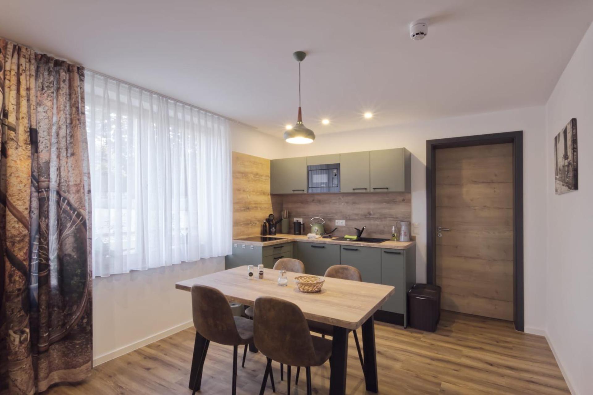 Ferienquartier- Forsthaus Apartment Bad Gottleuba-Berggiesshuebel
